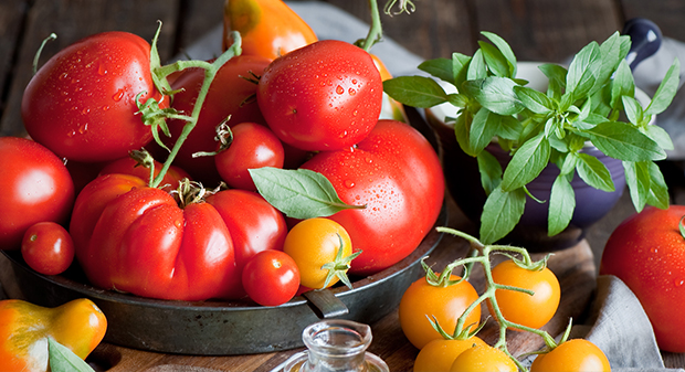 單雙道打漿機(jī)的技術(shù)參數(shù)有哪些？